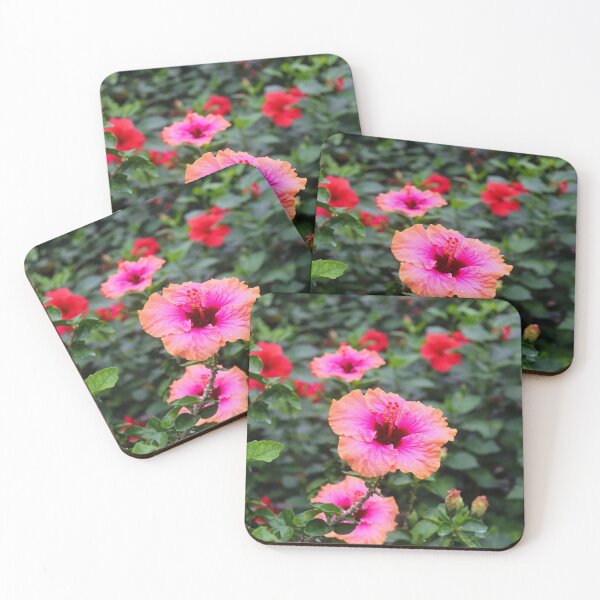 Item preview, Hibiscus  designed and sold by melco96.