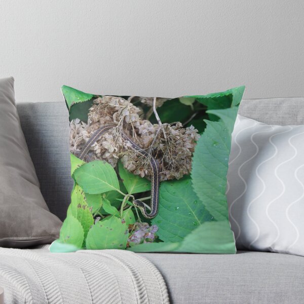 Item preview, Lucy in a Bush with Flowers designed and sold by melco96.