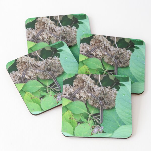 Item preview, Lucy in a Bush with Flowers designed and sold by melco96.