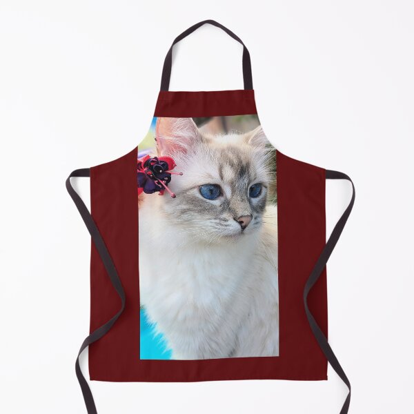 Artikelvorschau, Saoirse der Luchs Ragdoll entworfen und verkauft von Fluffycat2020.