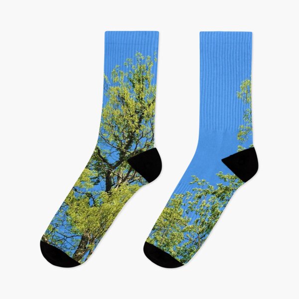 Artikelvorschau, Blauer Himmel und grüne Bäume Happy Summer Foto Stoffmuster entworfen und verkauft von H3designs.