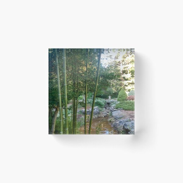 Item preview, Bamboo Tree designed and sold by KearVedra.
