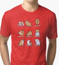 Pomeranian Yoga Tri-blend T-Shirt