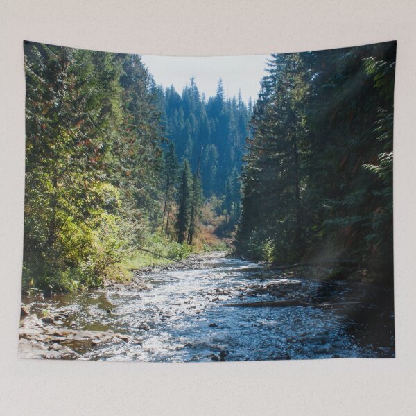 Item preview, Fall Trees Photography Print designed and sold by griffingphoto.