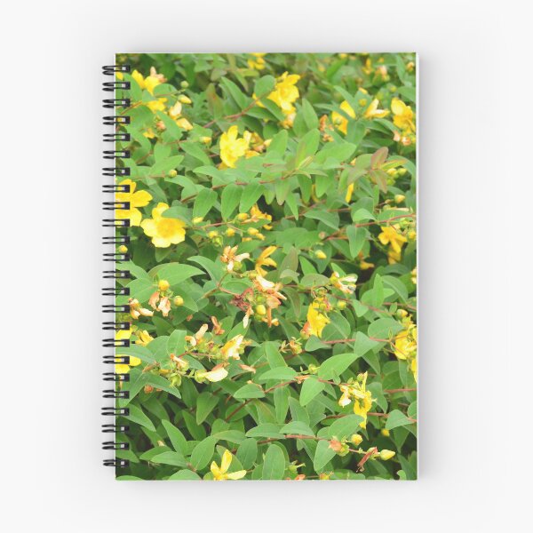 Item preview, A bright day in the forest (Hypericum) designed and sold by Kagacie.