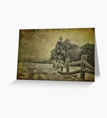 Oh Christmas Tree Greeting Card