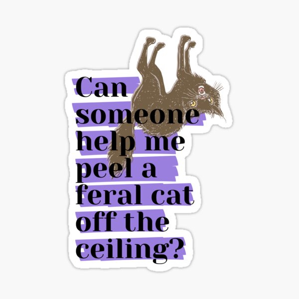 Item preview, Can someone help me peel a feral cat off the ceiling? designed and sold by Verubi.