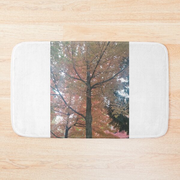 Item preview, Fall Trees designed and sold by KearVedra.