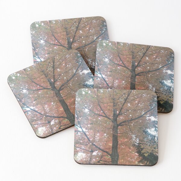 Item preview, Fall Trees designed and sold by KearVedra.