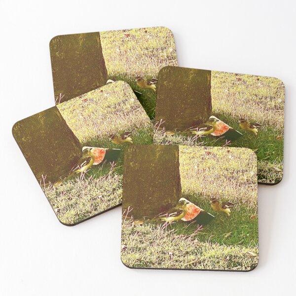 Aperçu de l'œuvre Petits oiseaux créée et vendue par Desirablesgoods.