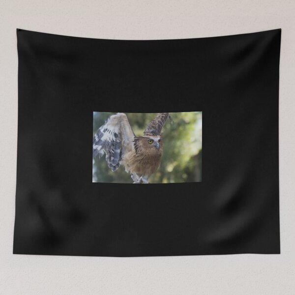 Item preview, Buffy Fish Owl designed and sold by byronbackyard.