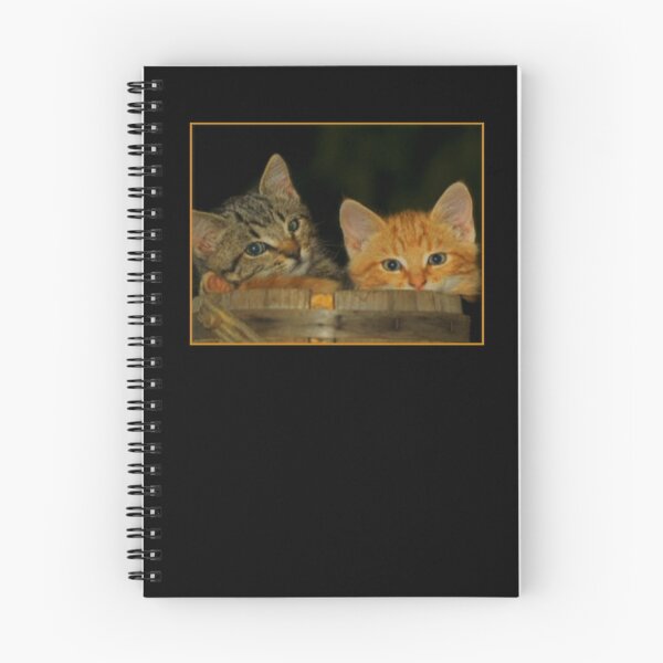 Item preview, Howard Moons Calming Kittens designed and sold by Meta Cortex.