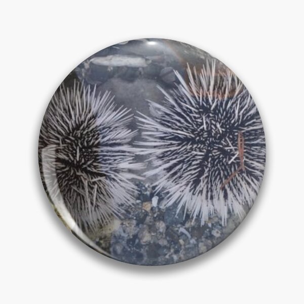 Item preview, Two Urchins  designed and sold by DocDunn.
