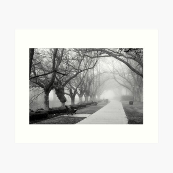 Item preview, Fog in the Park designed and sold by Joel Bramley.