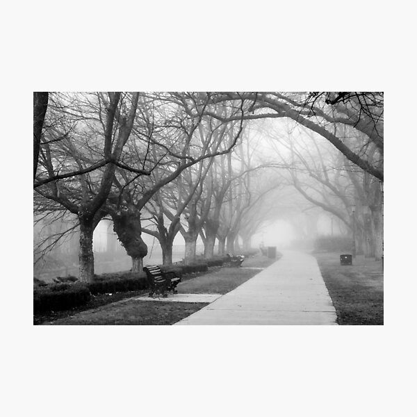 Item preview, Fog in the Park designed and sold by Joel Bramley.