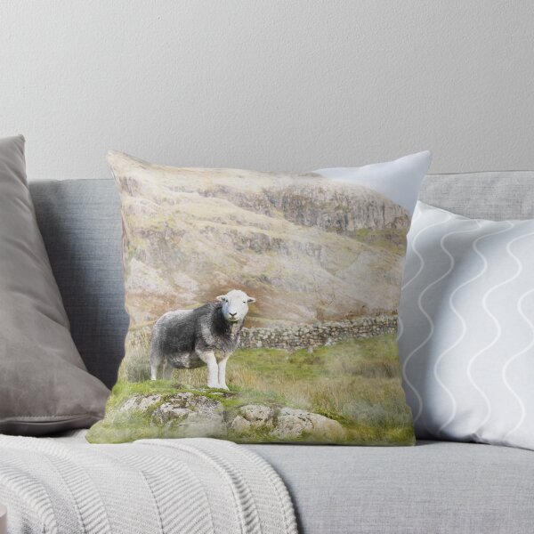 Item preview, Waterclour photograph Herdwick Sheep Mothers Day designed and sold by Jane Stanley Photography.