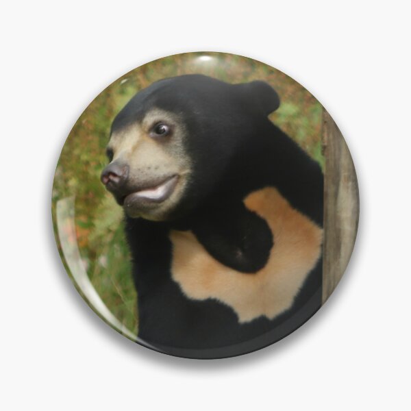 Item preview, Sun Bear designed and sold by Ladymoose.