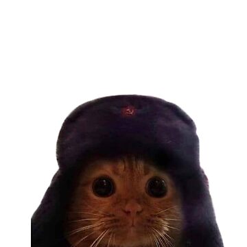 soviet union cat pfp｜TikTok Search