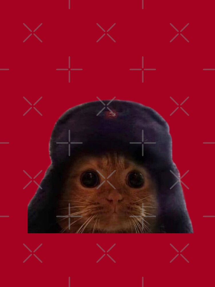 soviet union cat pfp｜TikTok Search