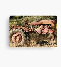 Still Working; Atascadero, CA Lei Hedger Photography Canvas Print