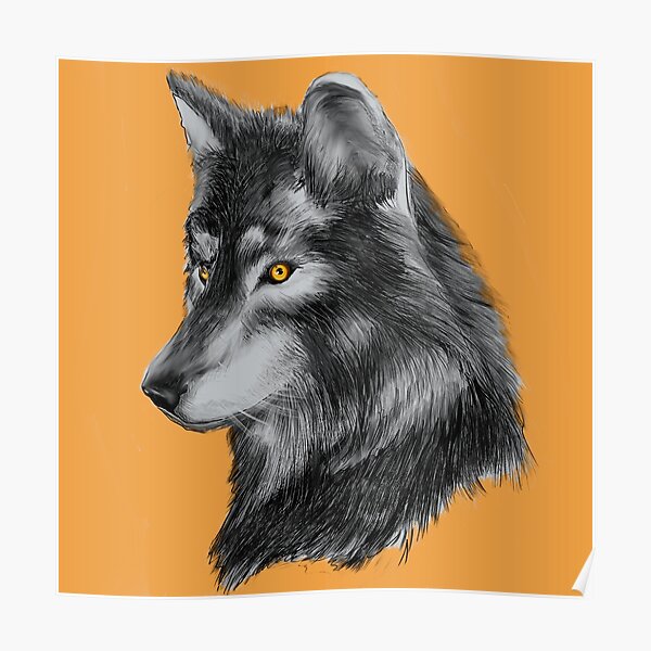 Poster Schwarzer Wolf Redbubble