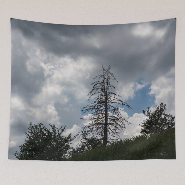 Item preview, Dual Treetop - Unique Pine Tree Against Turbulent Clouds designed and sold by Georgia Mizuleva.