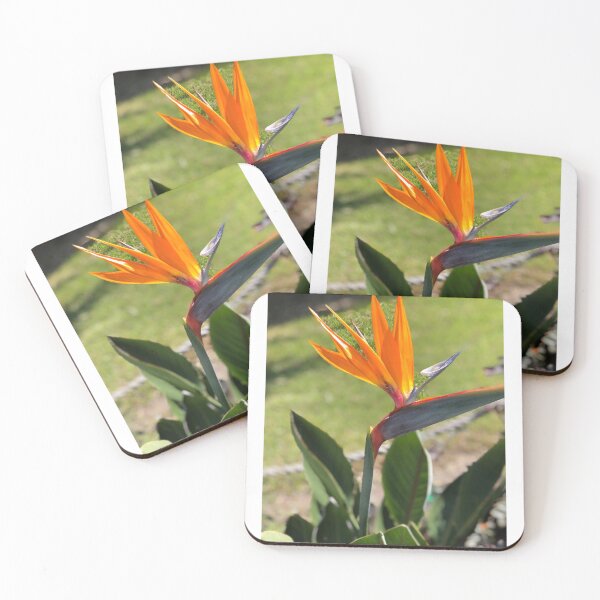 Item preview, Bird of Paradise  designed and sold by BAsPLACE.
