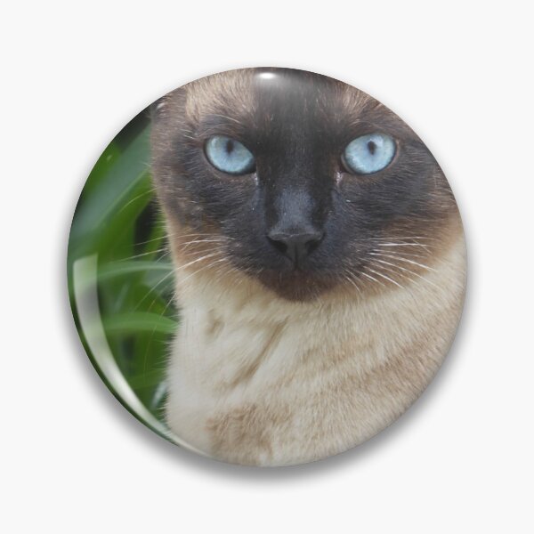 Item preview, Blue eyed boy. designed and sold by Paul Pasco.