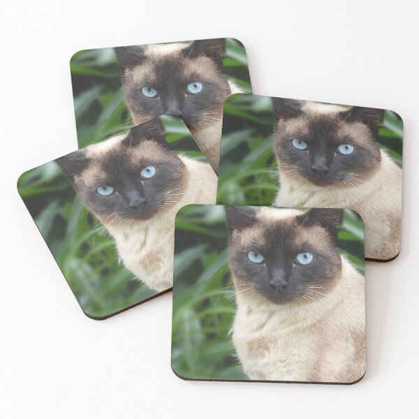 Item preview, Blue eyed boy. designed and sold by Paul Pasco.