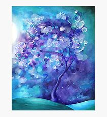 Diaphanous Photographic Print