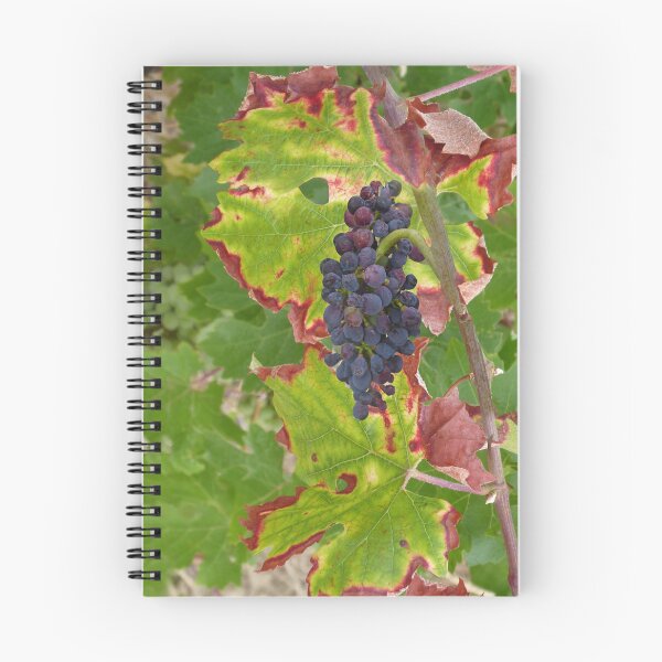 Item preview, Grapes. designed and sold by Paul Pasco.