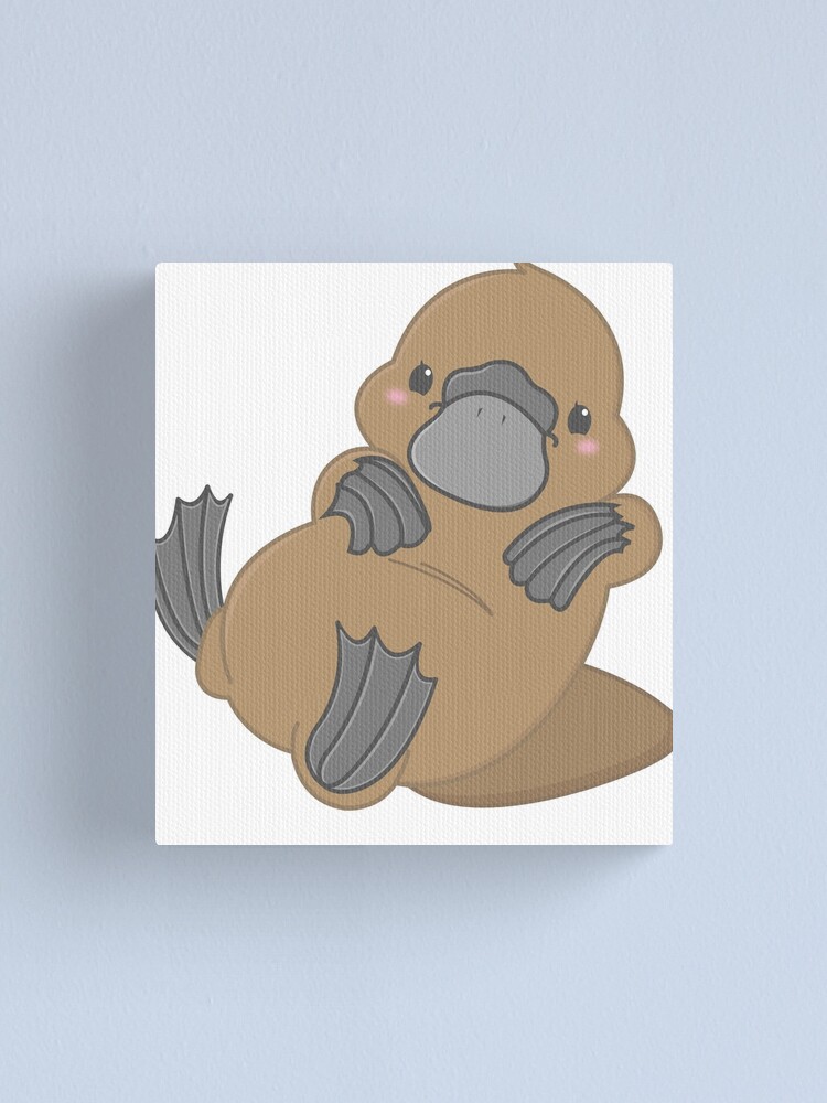 cute kawaii platypus cute kawaii platypus