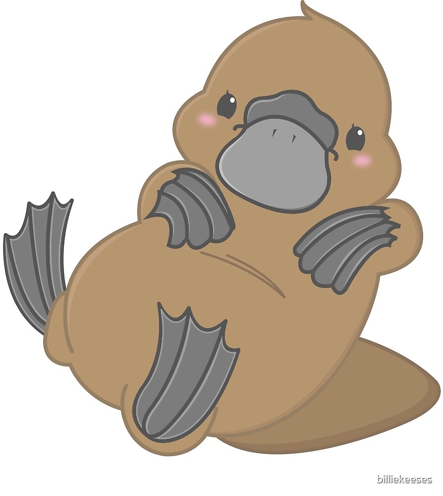 "Cute Kawaii Platypus" by billiekeeses Redbubble