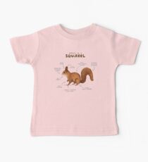 Anatomy of a Squirrel Baby Tee
