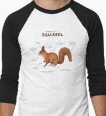 Anatomy of a Squirrel Men's Baseball ¾ T-Shirt