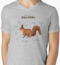 Anatomy of a Squirrel Men's V-Neck T-Shirt