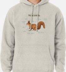 Anatomie eines Eichhörnchens Hoodie