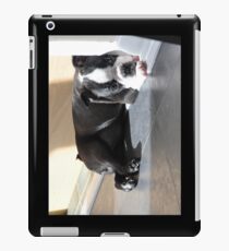 Schläfriger Welpe Bostons Terrier iPad-Hülle & Klebefolie