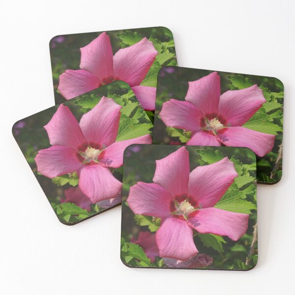 Item preview, Rose of Sharon  designed and sold by Lynney.