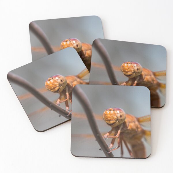 Item preview, Dragonfly designed and sold by zzsuzsa.
