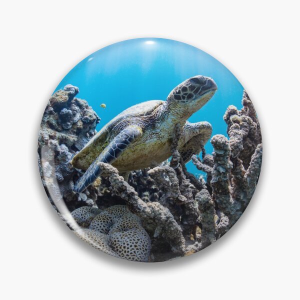 Item preview, A Loggerhead Sea Turtle Swimming Over A Coral Reef designed and sold by MugsAndDuds.