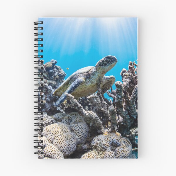 Item preview, A Loggerhead Sea Turtle Swimming Over A Coral Reef designed and sold by MugsAndDuds.