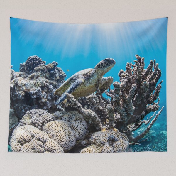 Item preview, A Loggerhead Sea Turtle Swimming Over A Coral Reef designed and sold by MugsAndDuds.
