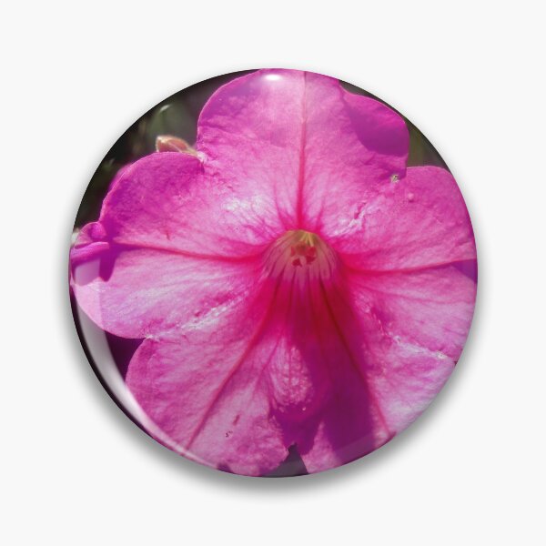 Item preview, Sunlit Petunia designed and sold by Shulie1.
