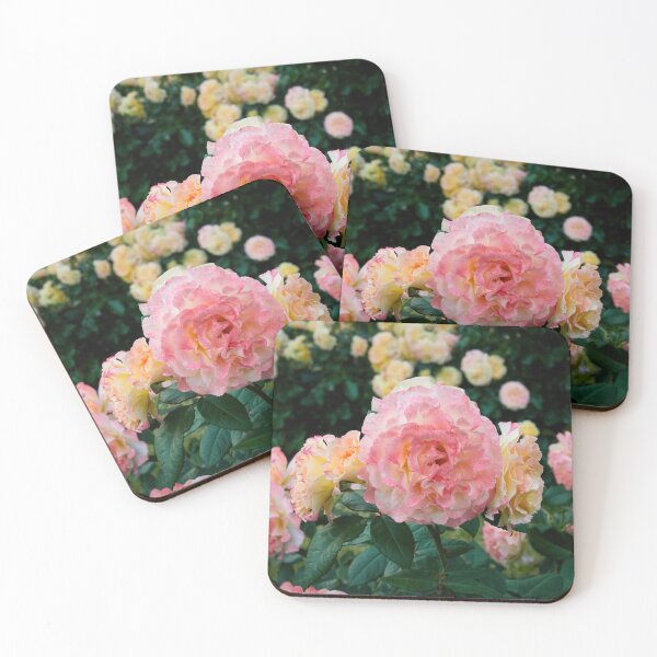 Item preview, Some just turn yellow the others blush elegantly. Rose designed and sold by Jouko Lehto Photography.