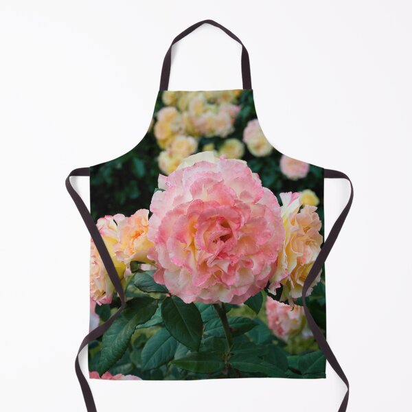 Item preview, Some just turn yellow the others blush elegantly. Rose designed and sold by Jouko Lehto Photography.