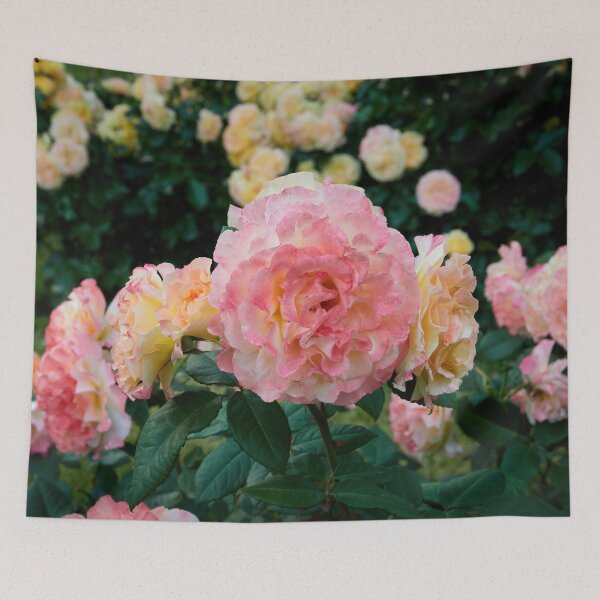 Item preview, Some just turn yellow the others blush elegantly. Rose designed and sold by Jouko Lehto Photography.