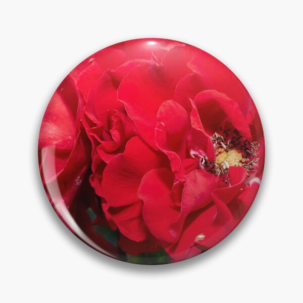 Item preview, Double red roses designed and sold by Jouko Lehto Photography.