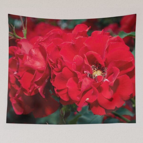 Item preview, Double red roses designed and sold by Jouko Lehto Photography.
