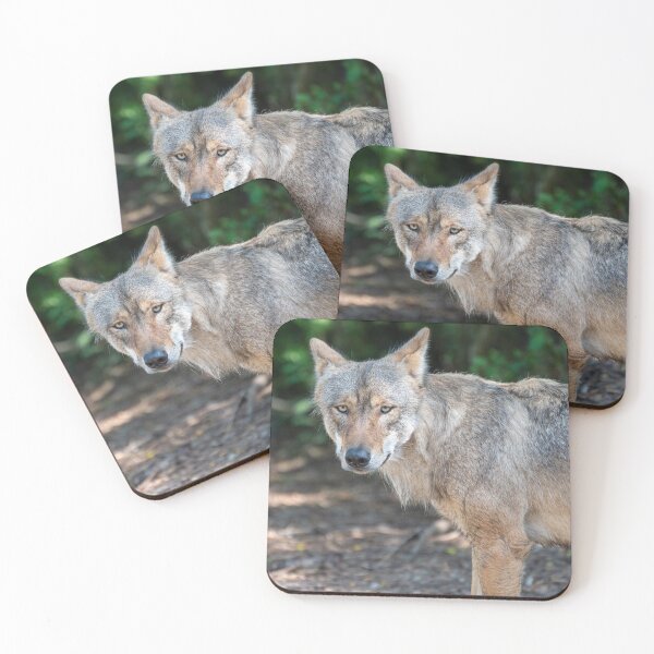 Item preview, Wild Eyes designed and sold by Ireland Photography.